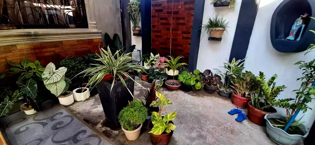 FULLY FURNISHED HOUSE and LOT in ILIGAN CITY - photo 3