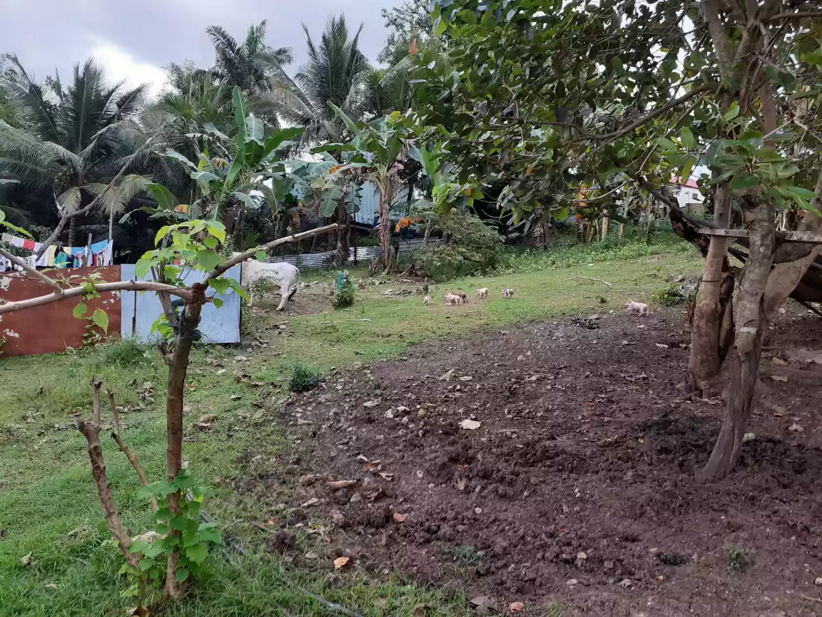 Residential Lot for sale @ indahag straight ultrawind 3,515sqm — Residential Lot in Cagayan de Oro, Misamis Oriental, Philippines — Photo 6