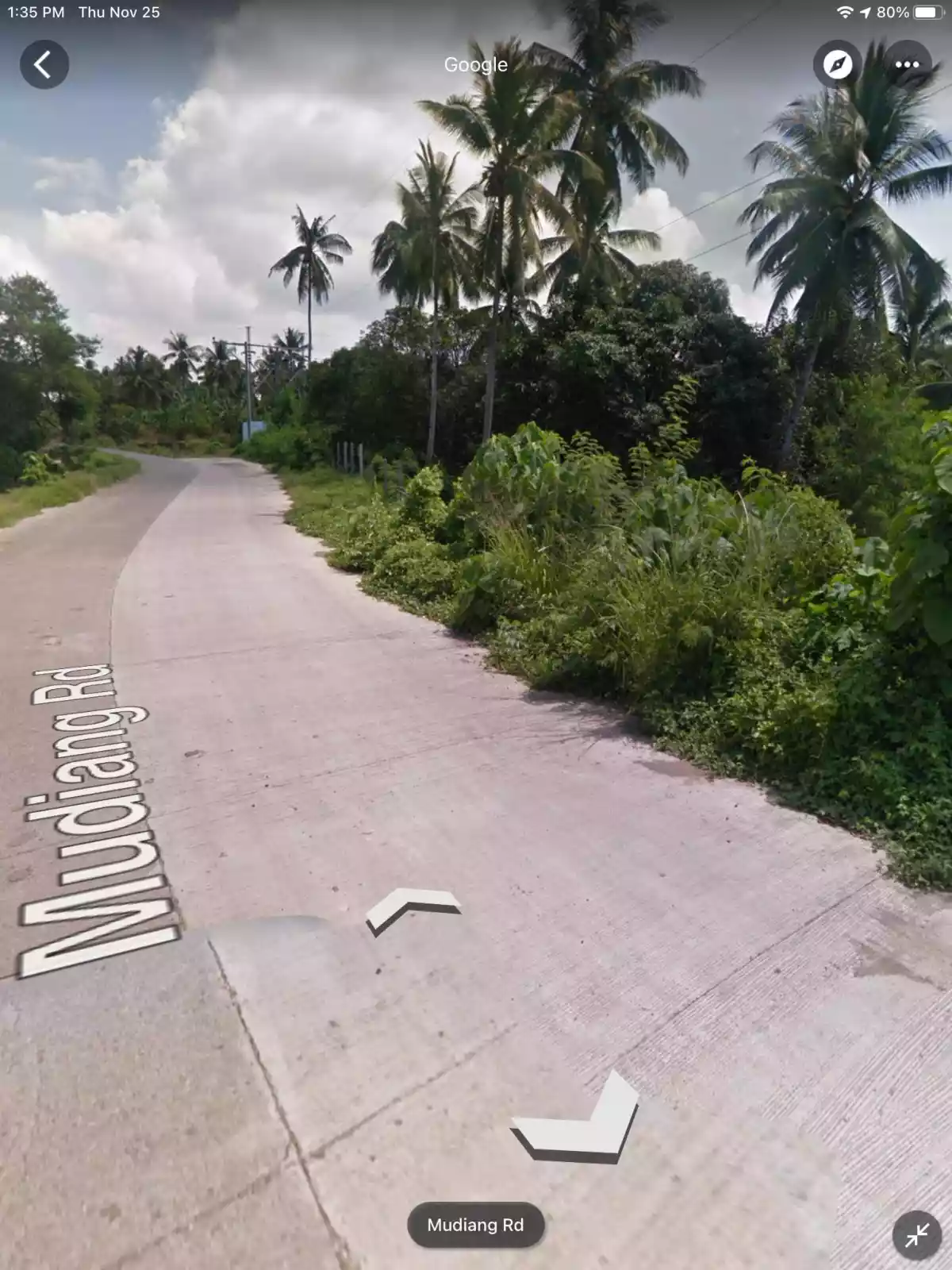 Commercial Lot 1.4has — Commercial Lot in Bunawan, Davao City, Davao del Sur — Photo 4