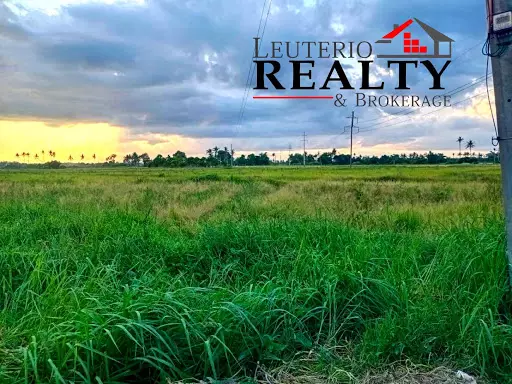 Farm Lot — Agricultural Lot in Naga, Camarines Sur, Philippines — Photo 2