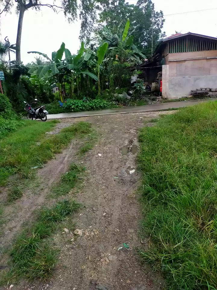 NEAR GRANDMALL CARCAR COMMERCIAL/RESIDENTIAL LOT — Commercial Lot in Carcar City, Cebu, Philippines — Photo 4