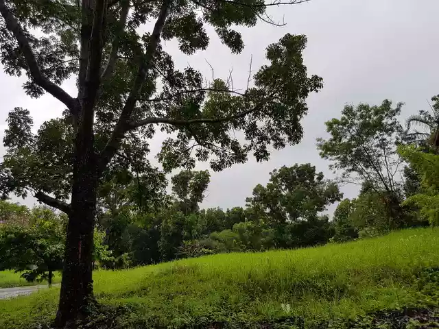 RUSH SALE PRIME CORNER LOT IN CANYON WOODS OVERLOOKING TAAL LAKE - photo 6