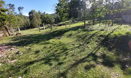 Lots for Retirement in Valencia/Dumaguete — Agricultural Lot in Negros Oriental, Philippines — Photo 5