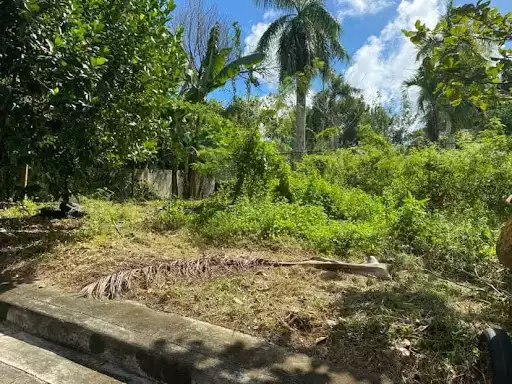 164sqm residential lot in El Monteverde in Lamac Consolacion — Residential Lot in New Orleans Street, Lamac, Consolacion — Photo 4
