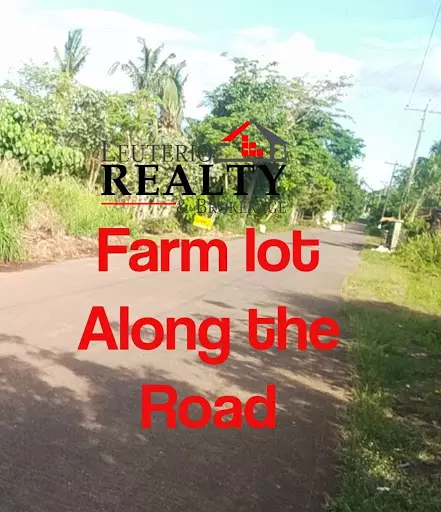 Agricultural Lot for Sale in Naga, Camarines Sur — Agricultural Lot in Naga, Camarines Sur, Philippines — Photo 2