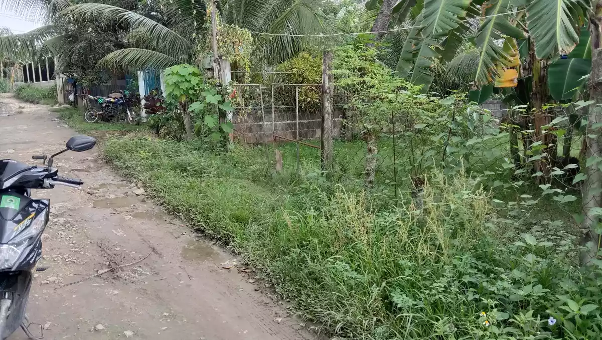 Titled Lot for Sale  - photo 2