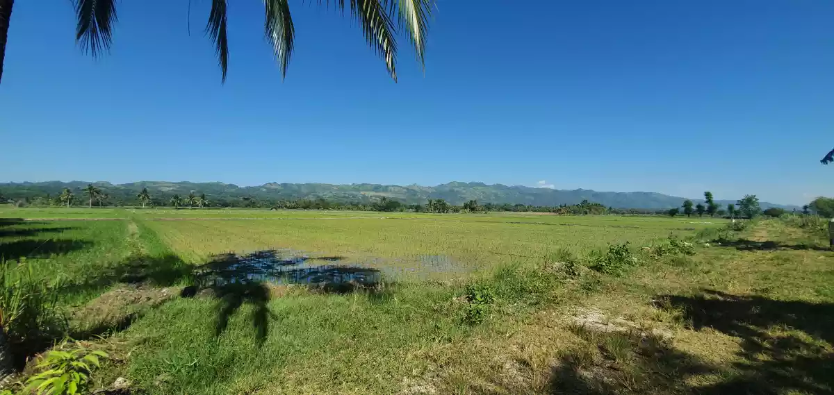 FARM LOT w/ BEAUTIFUL VIEW in Tantangan - photo 6