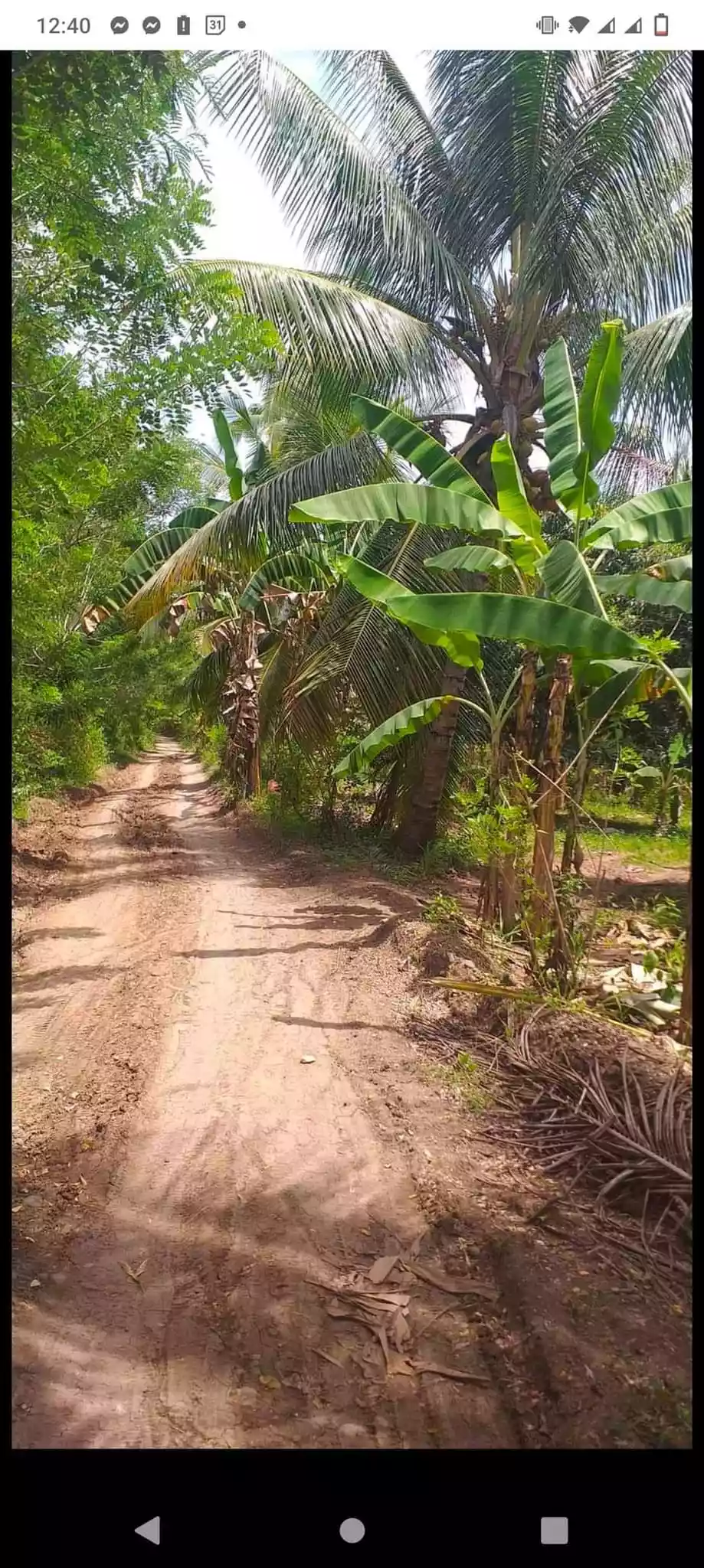Alabel bagacay lot - photo 3