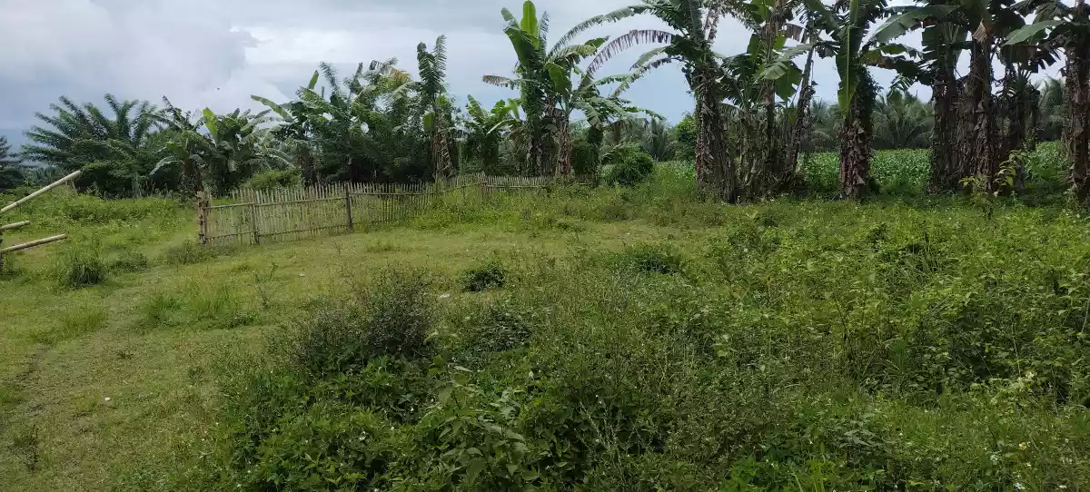 150meters away highway — Industrial Lot in Polomolok, South Cotabato, Philippines — Photo 4