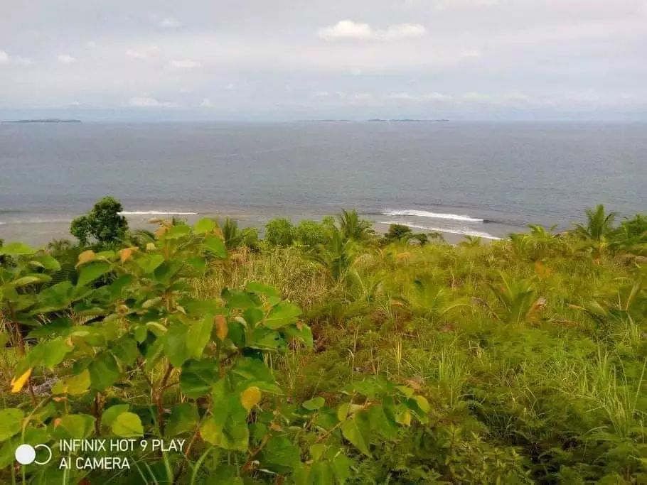BEACHFRONT LOT FOR SALE IN SOCORRO, SIARGAO ISLANDS - photo 7