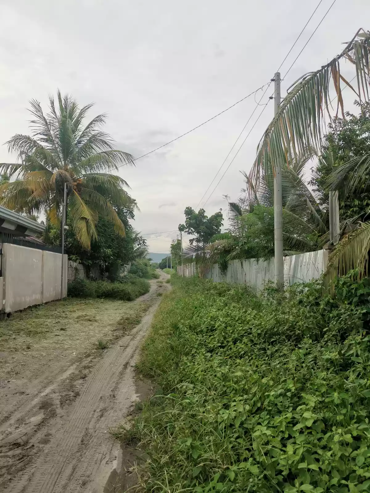 398 sqm corner Lot at Manansala Subdivision Mabuhay.  - photo 6