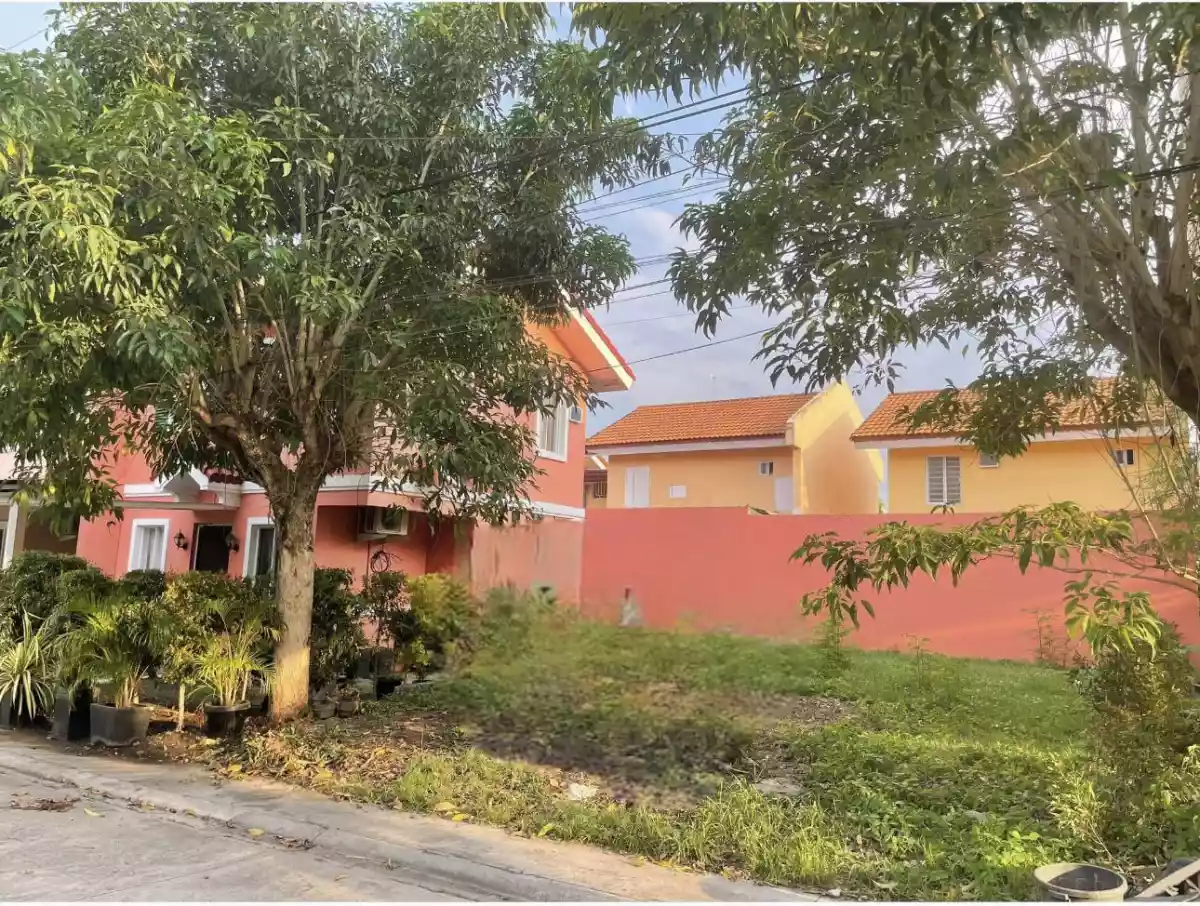 CAMELLA AMY FOR SALE - photo 5