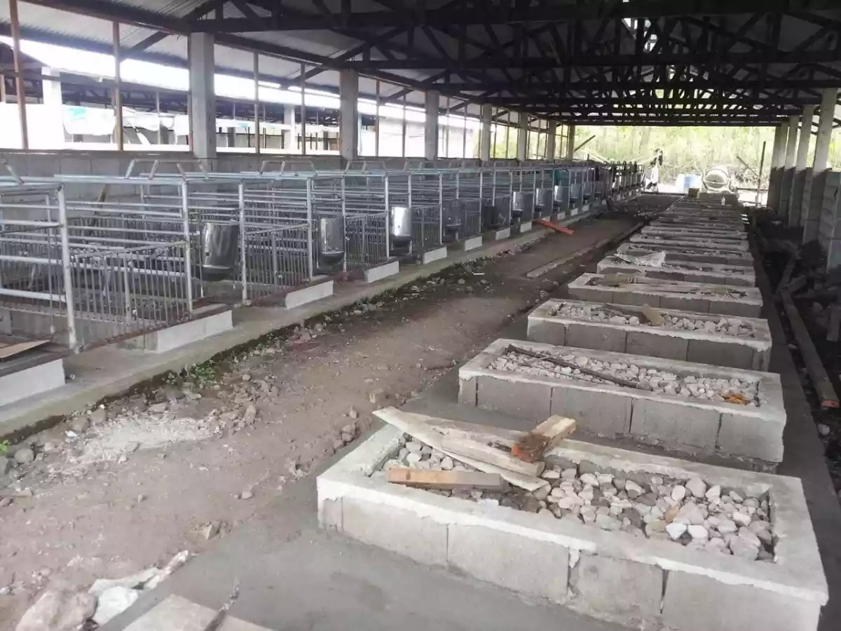 PIGGERY FOR SALE — Agricultural Lot in Negros Oriental, Philippines — Photo 5