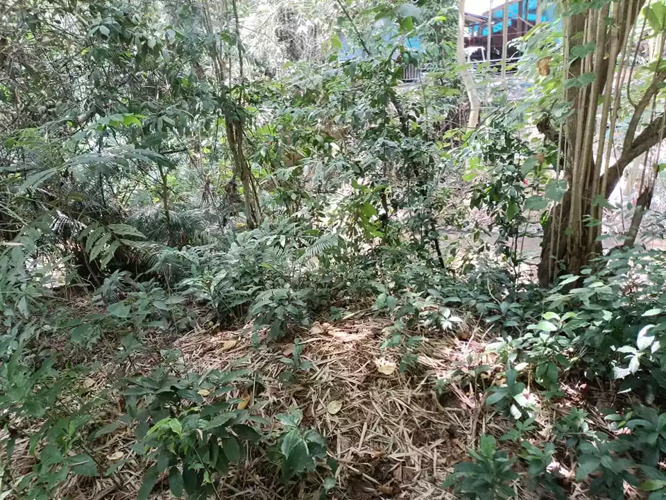 Lot for Sale in Garing, Consolacion - photo 7