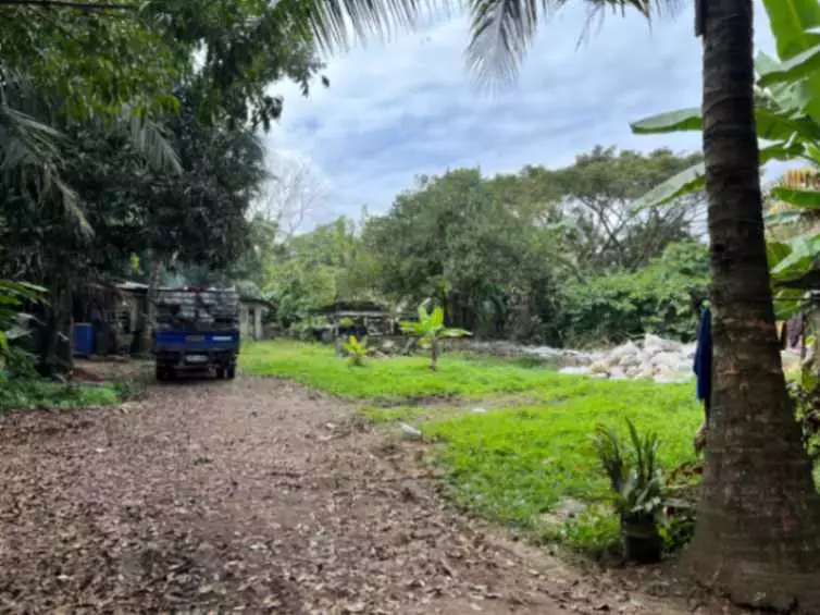 For Sale: Agricultural Lot in Lalaan I, Silang — 1,000 sqm — Agricultural Lot in Silang, Cavite, 4118 — Photo 3