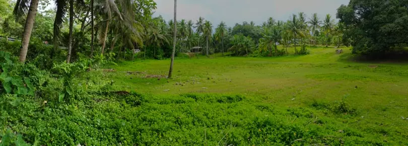 Agricultural Lot For Sale — Agricultural Lot in Cebu, Philippines — Photo 5
