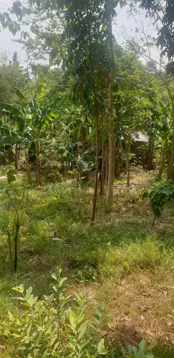 FOR SALE: RESIDENTIAL LOT AT LIBURON CARCAR CITY
