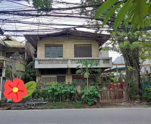 For Sale ?Commercial Lot with Old House