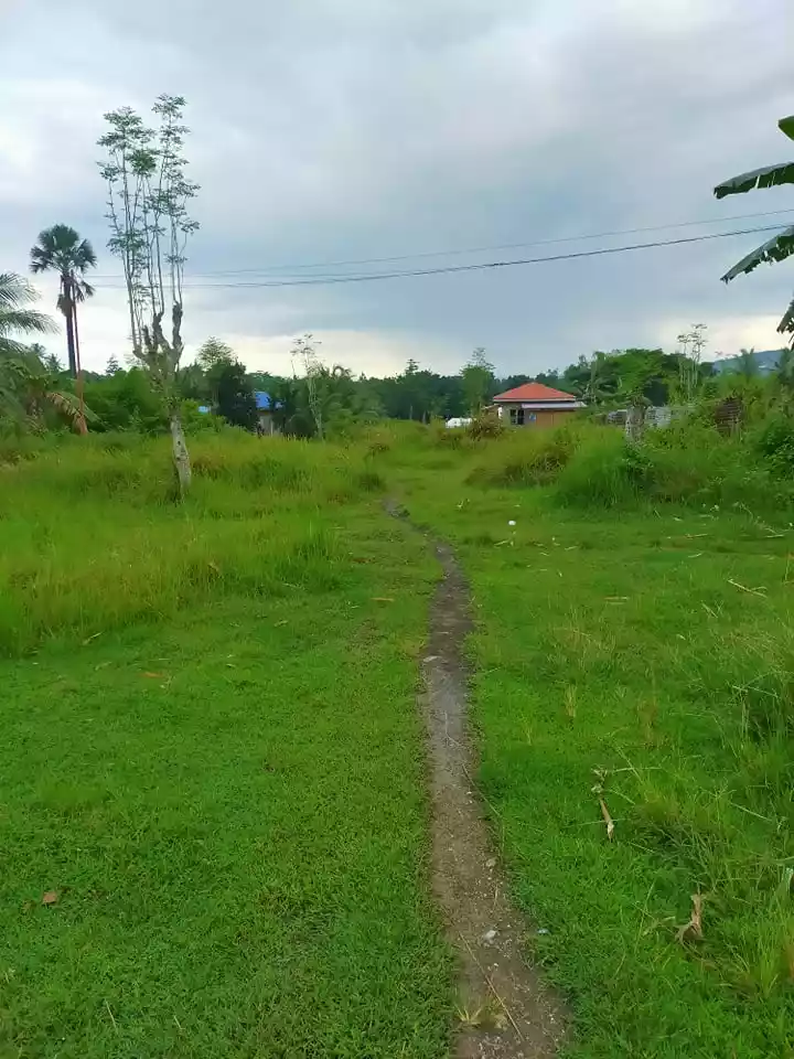 NEAR GRANDMALL CARCAR COMMERCIAL/RESIDENTIAL LOT