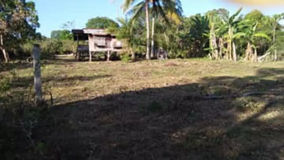 Residential Lot Near Panglao International Airport — Residential Lot in Panglao, Bohol, Philippines — Photo 4