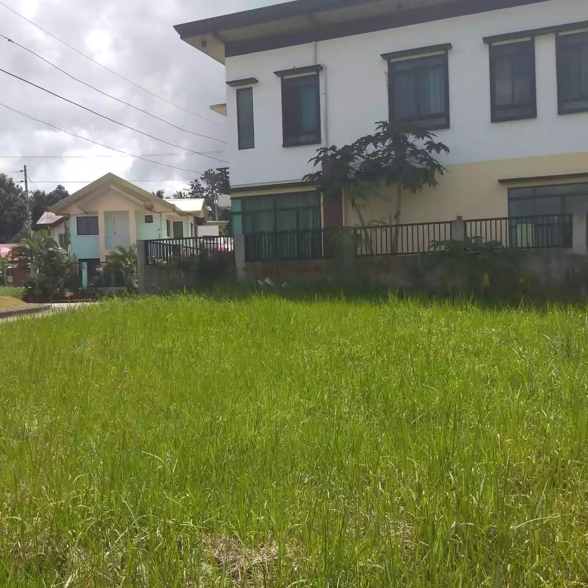 269sqm lot only for sale inside san josemaria village toledo cebu  - photo 6