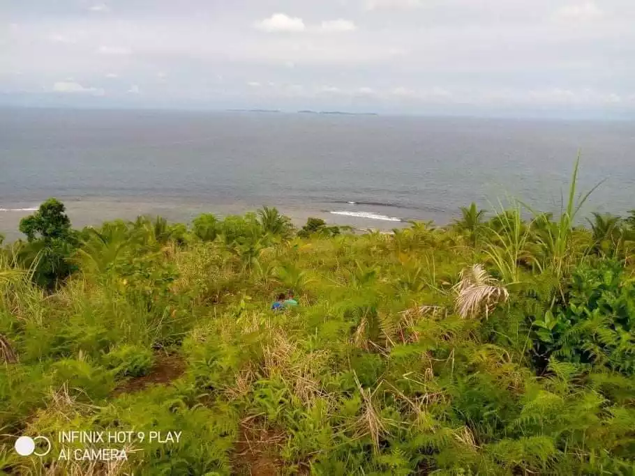BEACHFRONT LOT FOR SALE IN SOCORRO, SIARGAO ISLANDS - photo 6