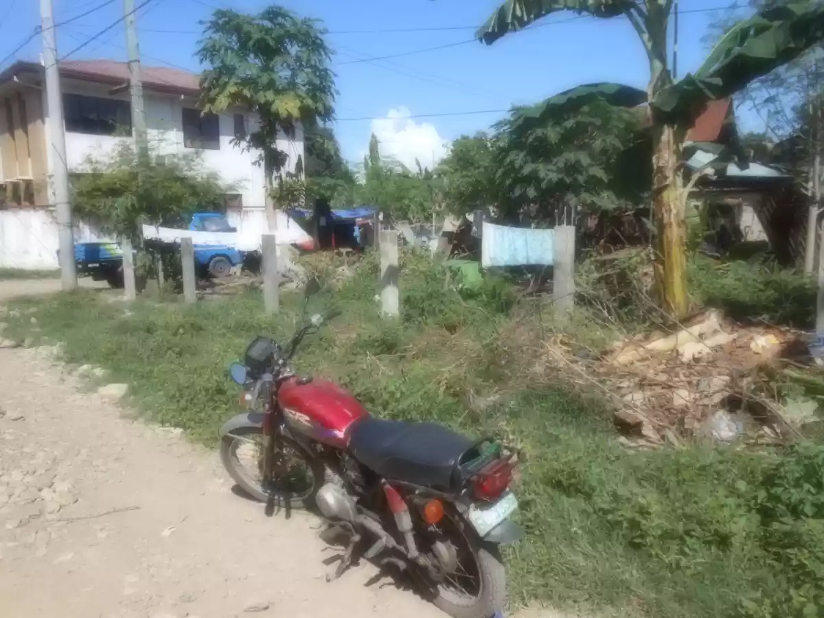 Rush Lot for Sale in Minglanilla Cebu