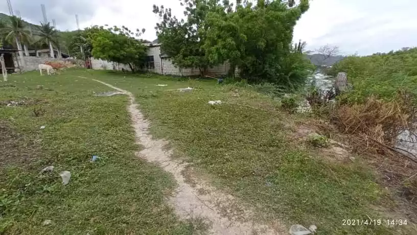 Jane Cane — Beach Lot in Alcoy, Cebu, Philippines — Photo 6