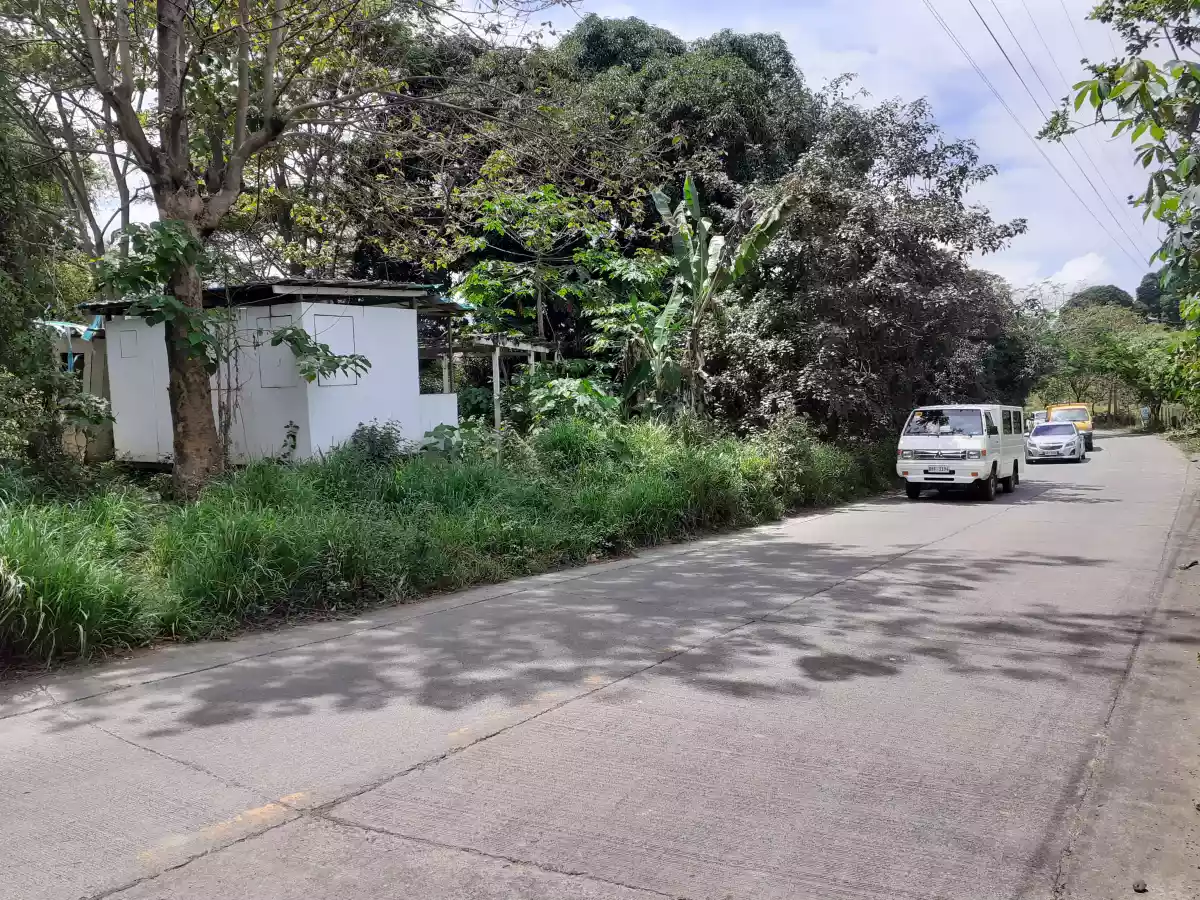 Lot for sale @ Upper Agusan CDO 800sqm — Agricultural Lot in Cagayan de Oro, Misamis Oriental, Philippines — Photo 7