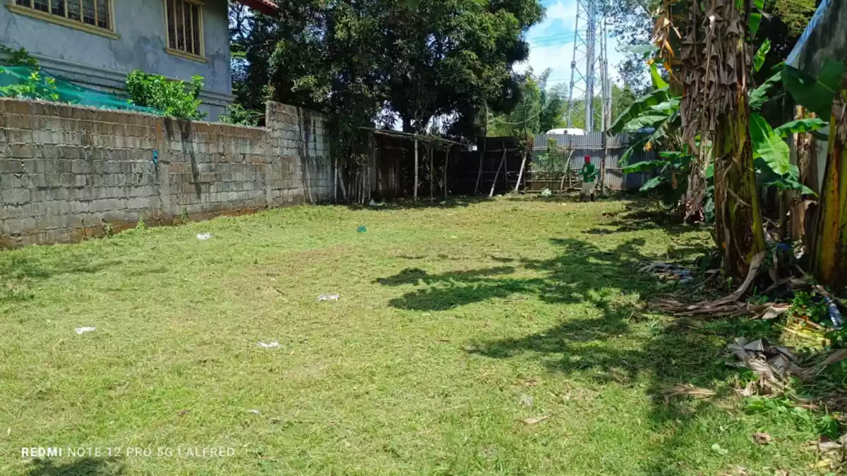 Philippines - photo 2