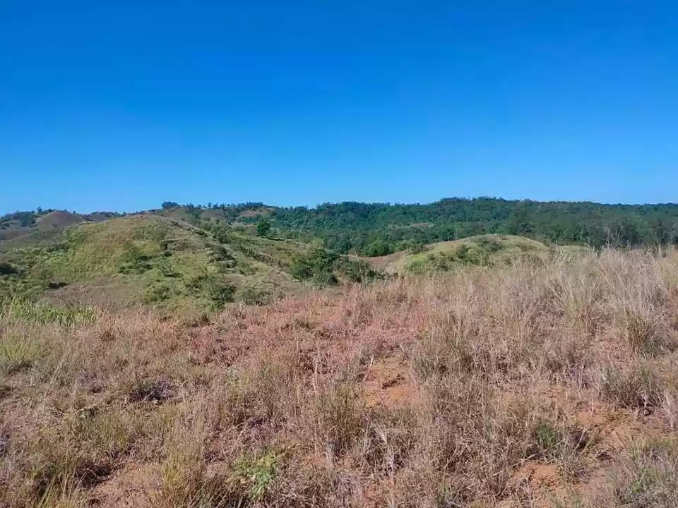 Lot For Sale sa Sual 4 Has - photo 6