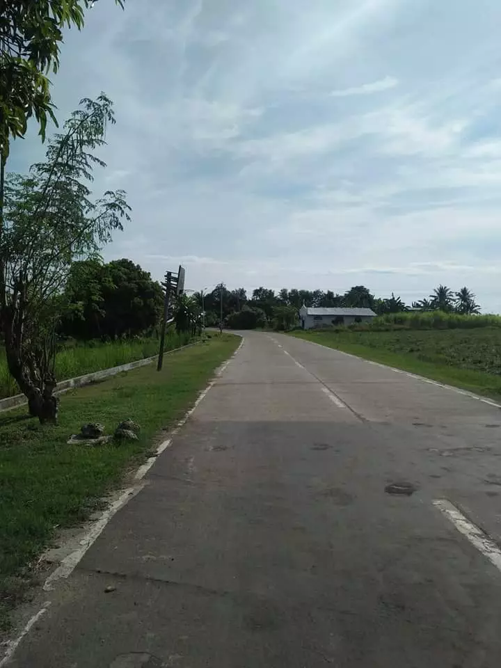 Affordable lot for sale - photo 6