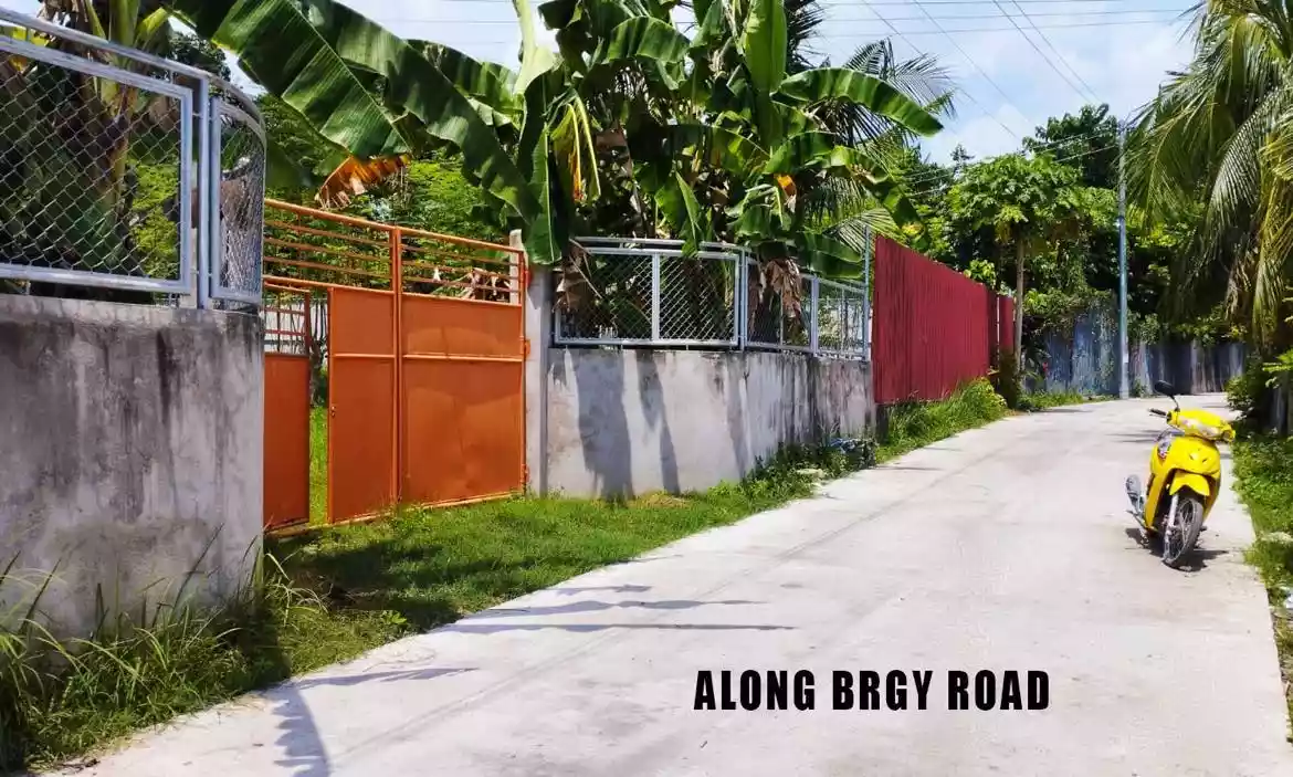 LOT FOR SALE IN SAN FERNANDO CEBU - photo 2