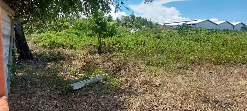 COMMERCIAL PROPERTY FOR SALE - Agus, Mactan - photo 3