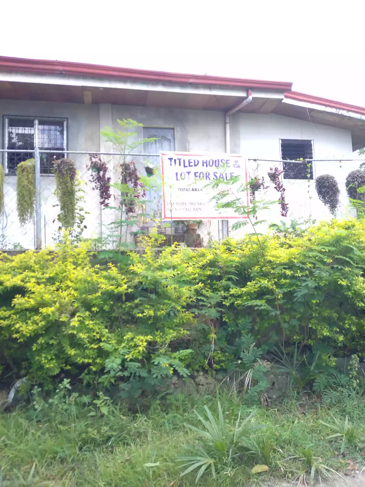 Consolacion House and Lot