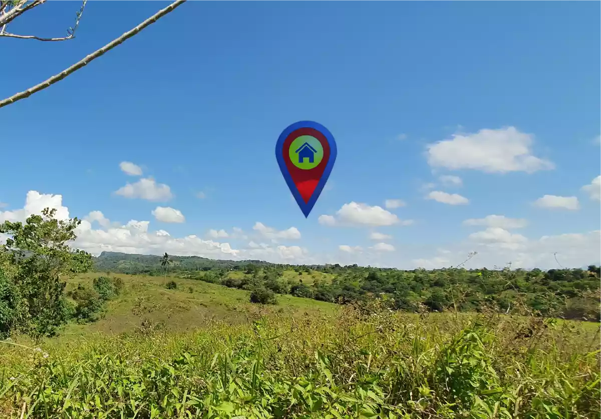 Mango Farm - Tinagacan Area  - photo 2