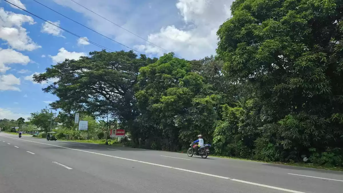 A GOOD DEAL LOT BESIDE CASA RUFINA SOUTH IS FOR SALE!!! — Industrial Lot in UYGEPA CORPORATION Depot, Negros South Road, Bago — Photo 4