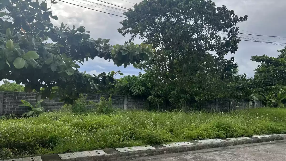 Pacific Grand Villas — Residential Lot in Lapu-Lapu City, Cebu, Philippines — Photo 2