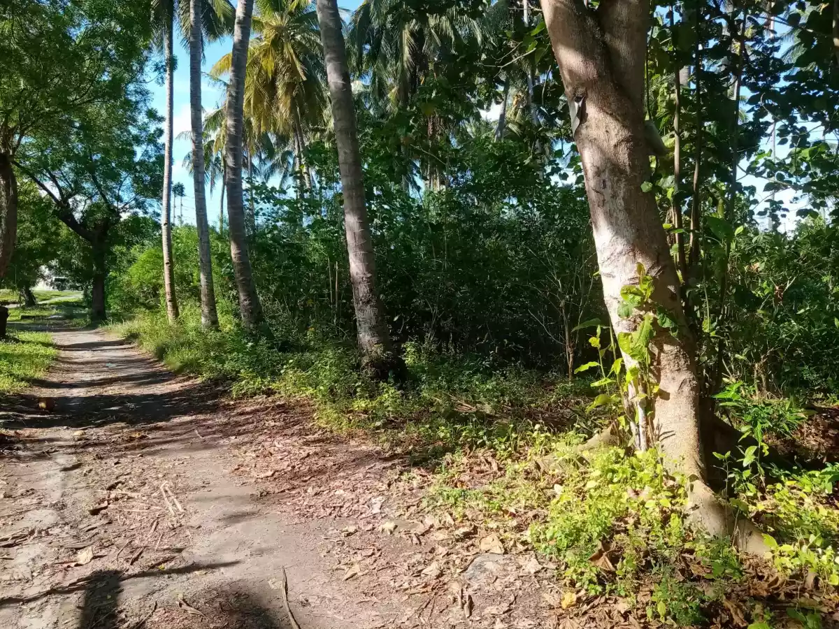 2,925sqm Along Highway Gensan Lot For Sale! — Commercial Lot in General Santos City, South Cotabato, Philippines — Photo 6