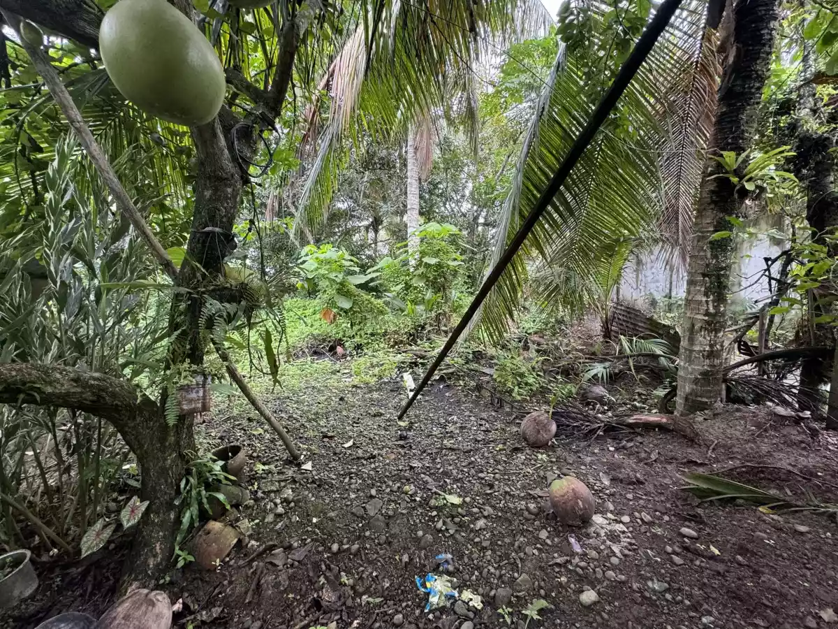 Rush Sale! Residential Lot with clean title — Residential Lot in Tagum, Davao del Norte, Philippines — Photo 4
