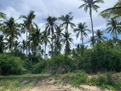 Open photo 26 of 27 — Beach Lot for Sale