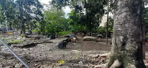 2,090 lot area along Brgy Tisa, ideal for condo. — Residential Lot in Cebu City, Cebu, Philippines — Photo 3