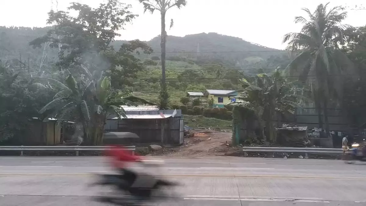 Commercial Lot along the National Highway of Sta. Cruz, Davao del Sur - photo 5