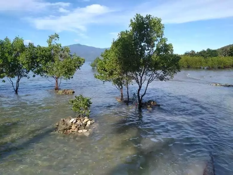 Beachlot in Mati, Davao - photo 5