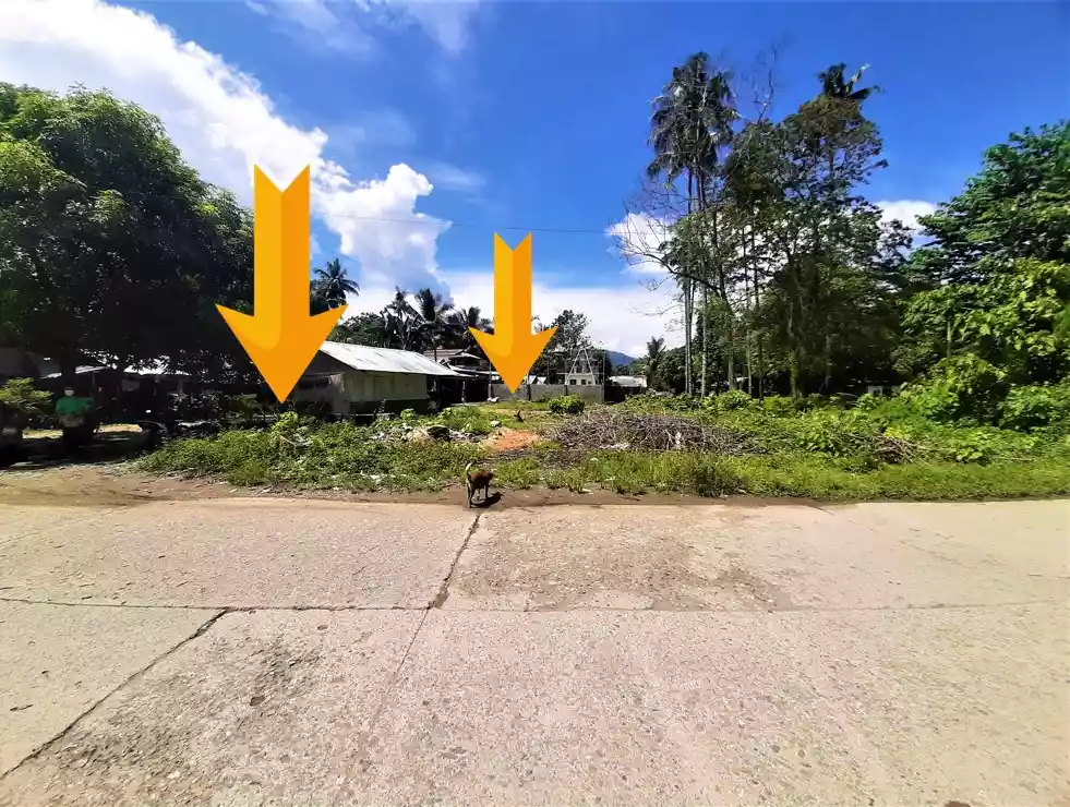 RESIDENTIAL LOT FOR SALE — Residential Lot in Iligan City, Lanao del Norte, Philippines — Photo 2