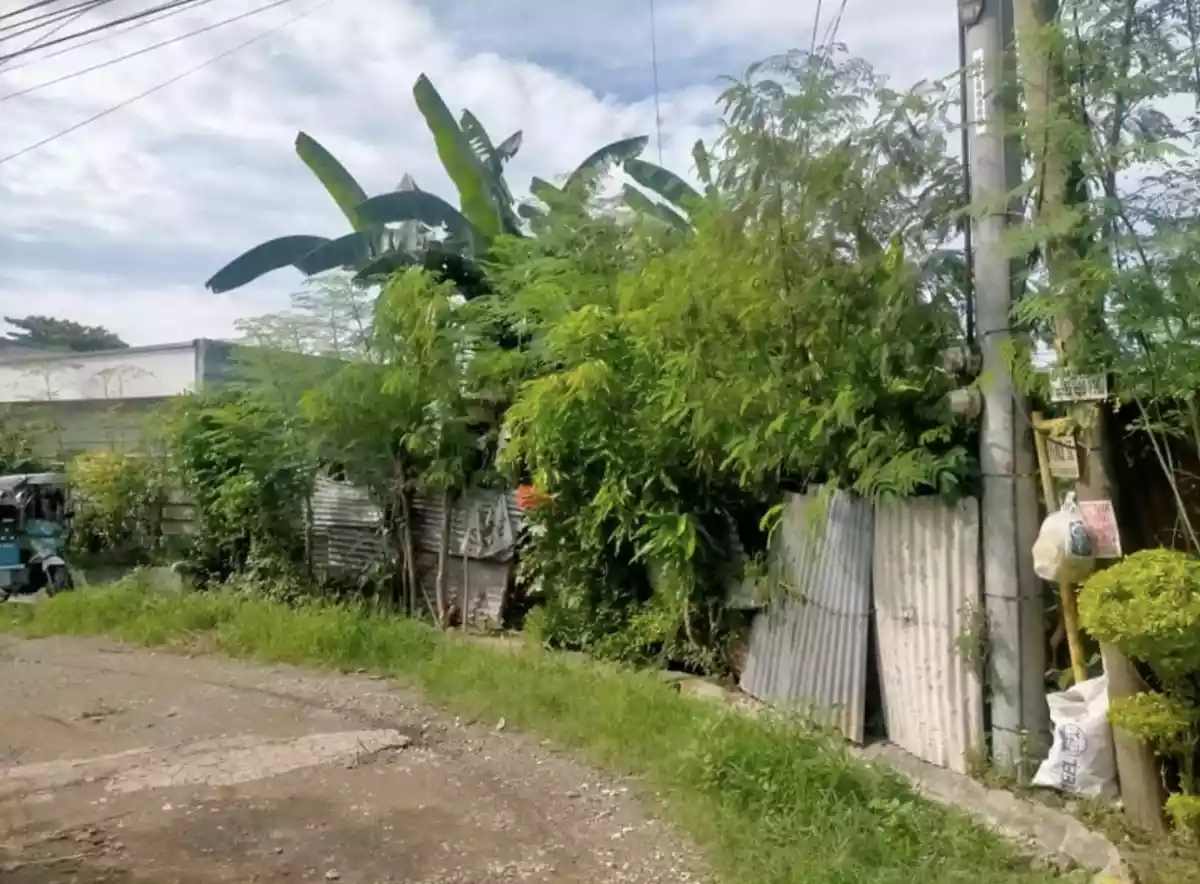 RESIDENTIAL LOT IN LIPATA MINGLANILLA  - photo 4