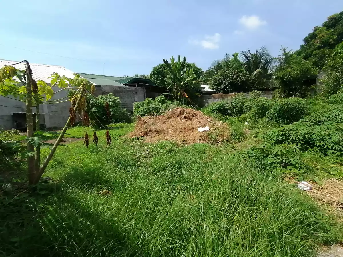 303sqm RESIDENTIAL LOT NEAR SAVEMORE MALAKAS - photo 4