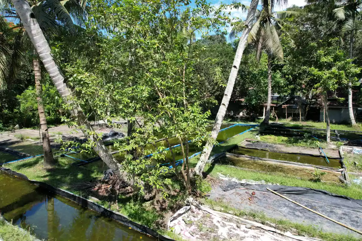 Lot for Sale — Residential Lot in PUROK 17 SAN VICENTE, Panabo, Davao del Norte — Photo 4