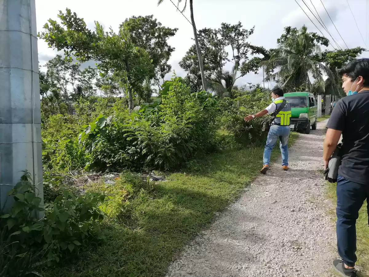 LOT ONLY FOR SALE - photo 7