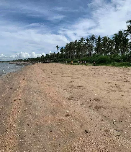 Beach Lot for Sale — Beach Lot in Masbate, Philippines — Photo 3